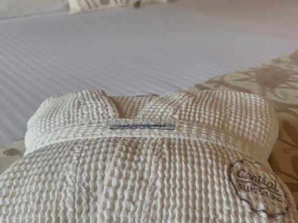 Zocalo Central & Rooftop Mexico City : photo 1 de la chambre chambre supérieure - vue sur ville