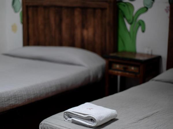 Gente de Más Hostel : photo 3 de la chambre chambre lits jumeaux