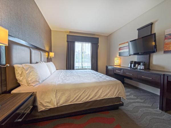 Holiday Inn Houston West - Westway Park, an IHG Hotel : photo 4 de la chambre chambre lit king-size standard