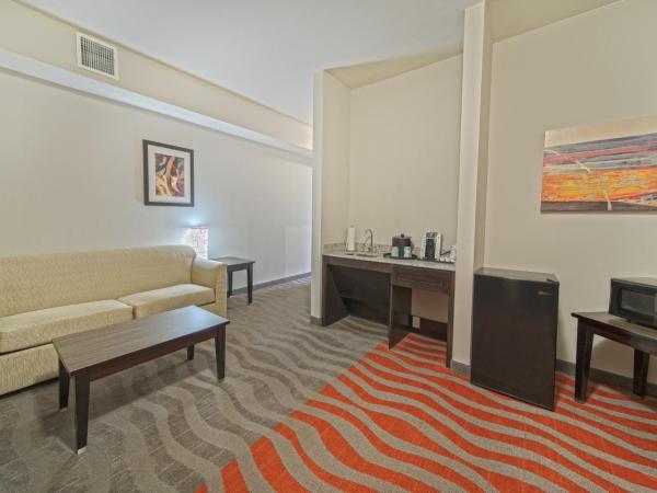 Holiday Inn Houston West - Westway Park, an IHG Hotel : photo 5 de la chambre suite - douche accessible en fauteuil roulant/non-fumeurs