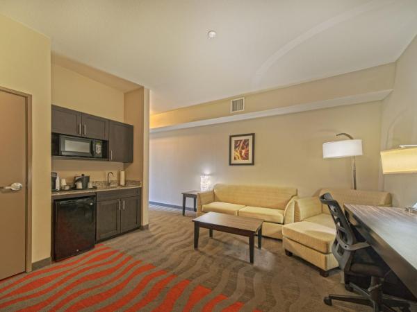 Holiday Inn Houston West - Westway Park, an IHG Hotel : photo 6 de la chambre suite 1 chambre lit king-size