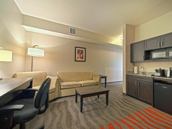 Holiday Inn Houston West - Westway Park, an IHG Hotel : photo 7 de la chambre suite 1 chambre lit king-size
