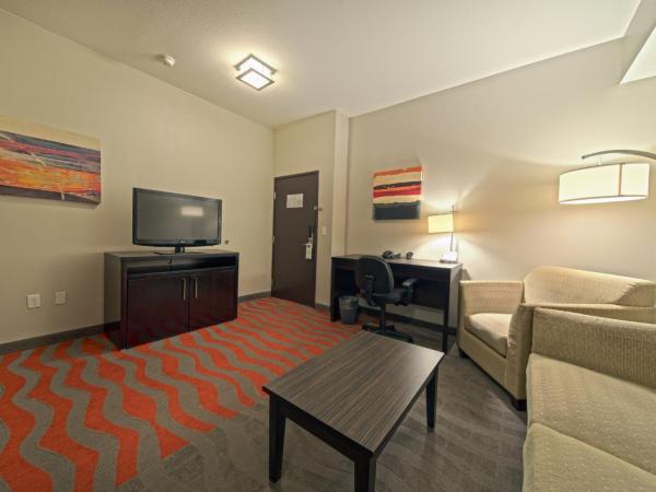 Holiday Inn Houston West - Westway Park, an IHG Hotel : photo 8 de la chambre suite 1 chambre lit king-size