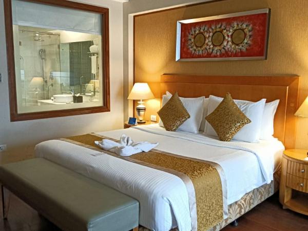 Radisson Blu Udaipur Palace Resort & Spa : photo 10 de la chambre chambre supérieure