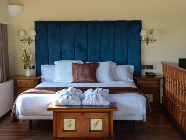 Hotel Roger de Flor by Seleqtta : photo 2 de la chambre chambre double - mansardée