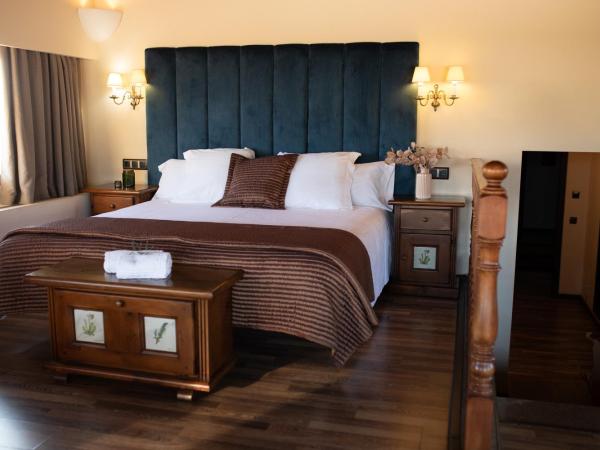 Hotel Roger de Flor by Seleqtta : photo 7 de la chambre chambre double - mansardée