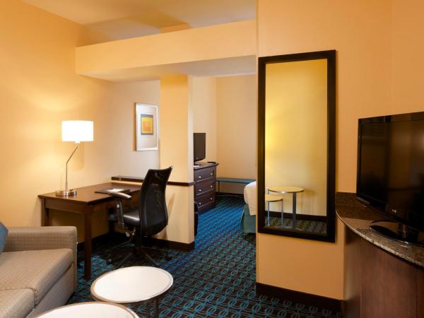 Fairfield Inn & Suites Houston Intercontinental Airport : photo 1 de la chambre executive king studio suite with sofa bed and adapted tub - mobility and hearing accessible