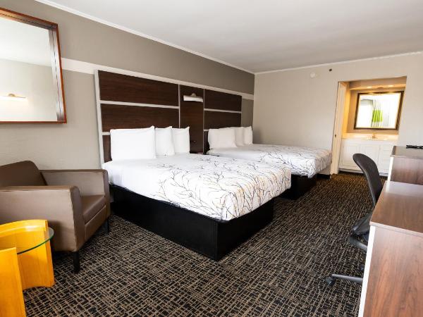 Magnuson Hotel Virginia Beach : photo 2 de la chambre executive business double non-smoking