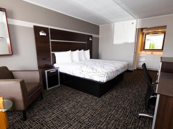 Magnuson Hotel Virginia Beach : photo 2 de la chambre executive business king non-smoking