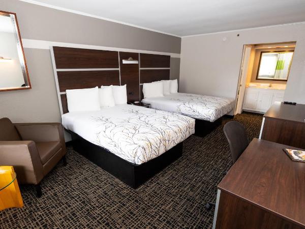 Magnuson Hotel Virginia Beach : photo 5 de la chambre executive business double non-smoking