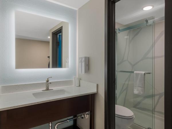 Red Roof PLUS & Suites Virginia Beach - Seaside : photo 7 de la chambre chambre supérieure avec 2 lits doubles - non-fumeurs - vue sur piscine