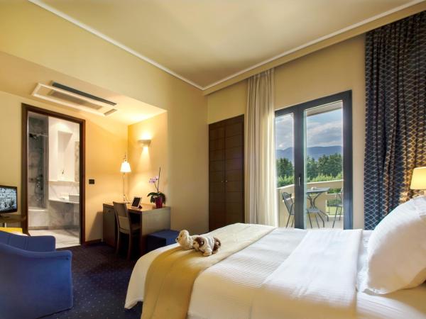 Dekelia Hotel : photo 2 de la chambre chambre double ou lits jumeaux standard