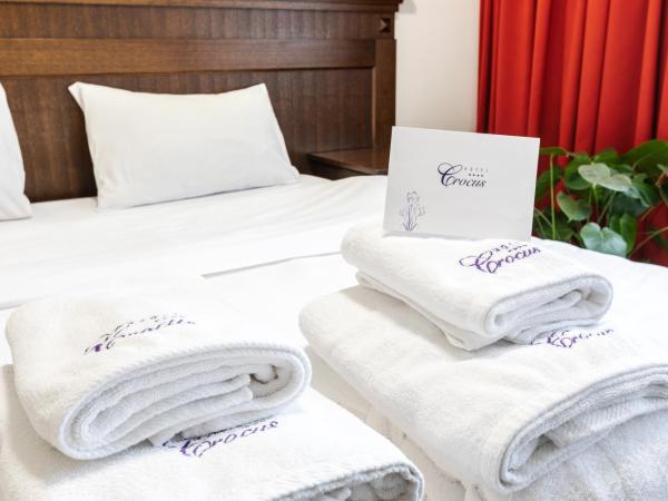 Hotel Crocus : photo 3 de la chambre chambre double