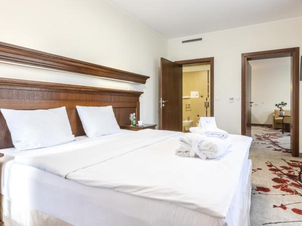 Hotel Crocus : photo 2 de la chambre appartement