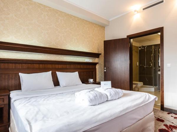 Hotel Crocus : photo 2 de la chambre appartement - vue sur jardin