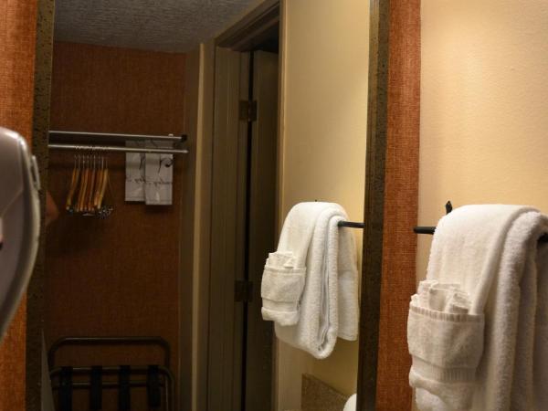 Nativo Lodge : photo 2 de la chambre chambre lit king-size traditionnelle