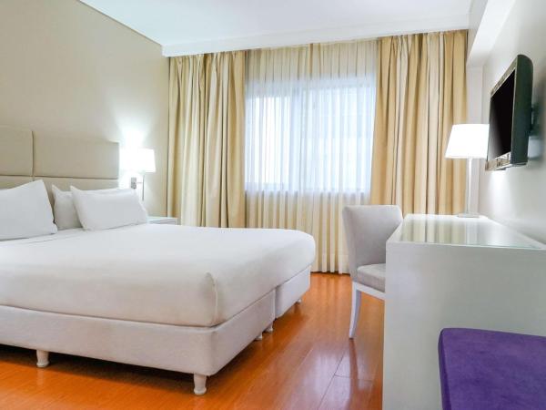 NH Mendoza Cordillera : photo 1 de la chambre chambre double ou lits jumeaux standard