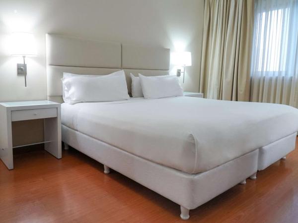 NH Mendoza Cordillera : photo 3 de la chambre chambre double ou lits jumeaux standard