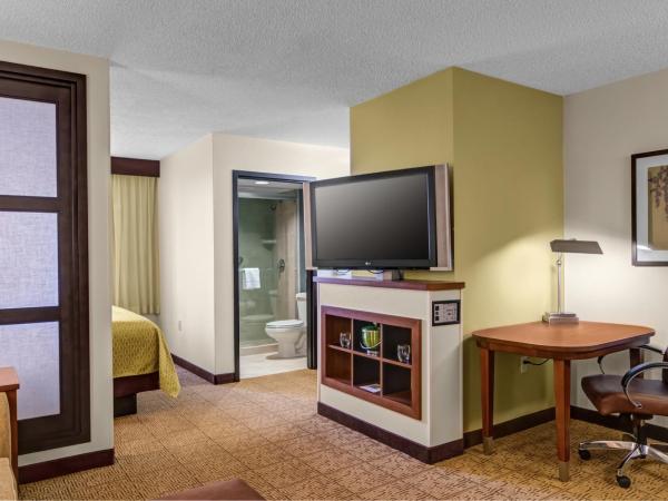 Hyatt Place Fort Lauderdale Cruise Port & Convention Center : photo 3 de la chambre chambre lit king-size avec canapé-lit - Étage supérieur