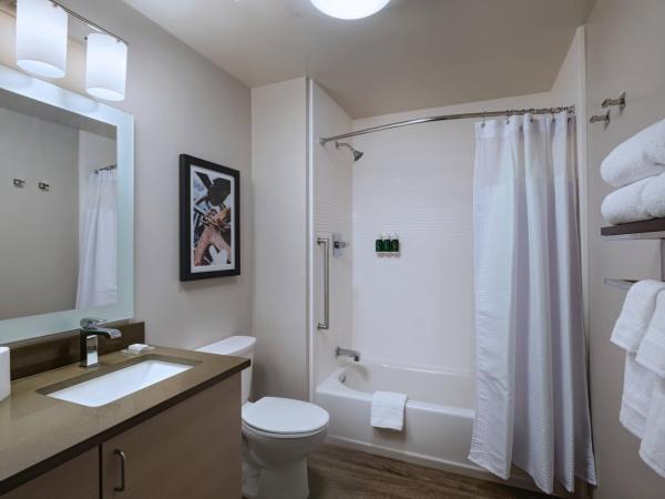 TownePlace Suites by Marriott San Diego Airport/Liberty Station : photo 5 de la chambre studio avec lit king-size et canapé-lit