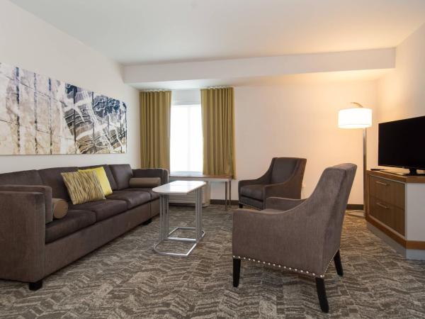 SpringHill Suites by Marriott Charlotte Ballantyne : photo 4 de la chambre suite 1 chambre avec 1 lit king-size et canapé-lit : 2