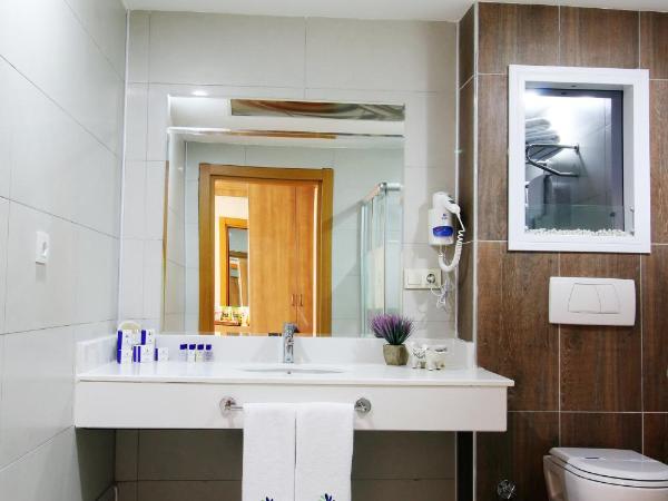 Sarissa Hotel : photo 3 de la chambre chambre double standard