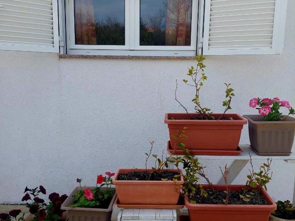 Rooms Hodanić : photo 9 de la chambre chambre triple