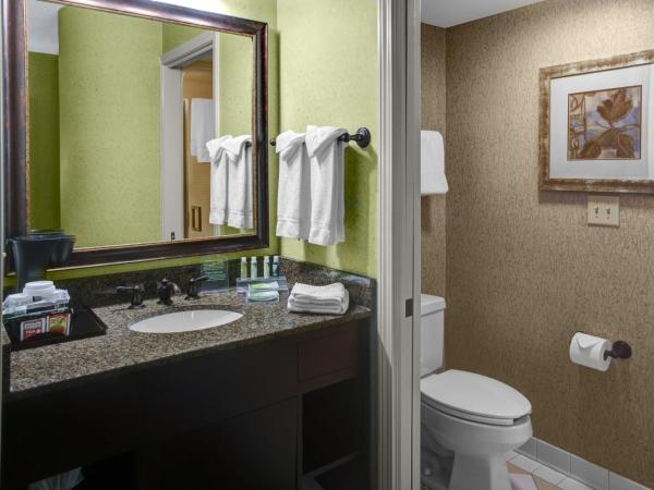 Holiday Inn Express Hotel & Suites Atlanta Buckhead, an IHG Hotel : photo 1 de la chambre chambre standard