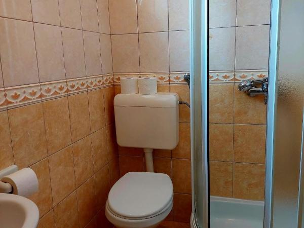 Rooms Hodanić : photo 5 de la chambre chambre double - vue sur jardin