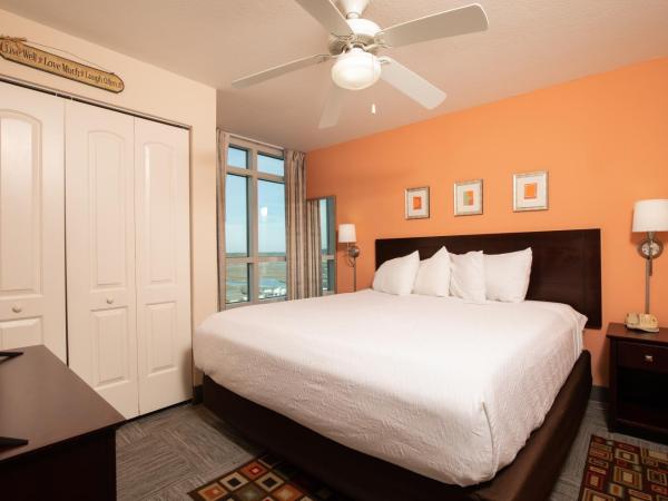 Prince Resort : photo 4 de la chambre suite 1 chambre - vue sur marais
