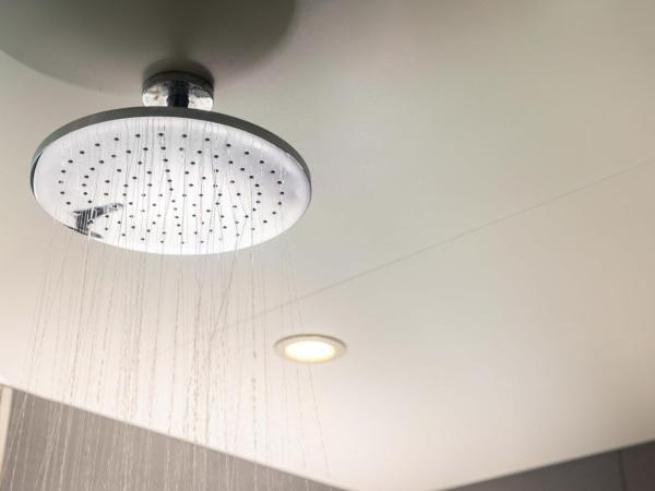 The Capitol Hotel Tokyu : photo 2 de la chambre chambre lit king-size deluxe - non-fumeurs