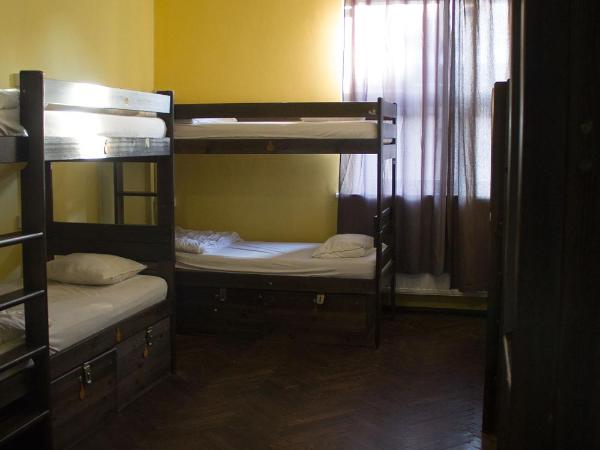 The Little Havana Party Hostel : photo 5 de la chambre lit dans dortoir mixte de 12 lits