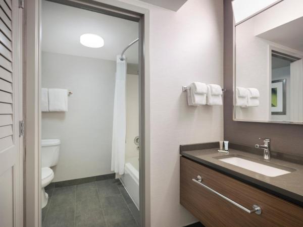 Courtyard Tampa North / I-75 Fletcher : photo 4 de la chambre chambre avec 2 grands lits queen-size