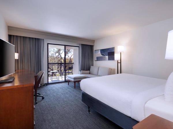 Courtyard Tampa North / I-75 Fletcher : photo 1 de la chambre chambre king avec canapé-lit et balcon