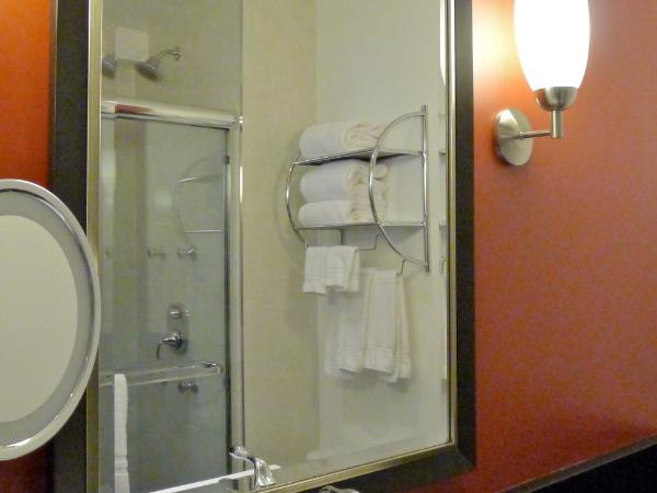 Armon Plaza Montreal Airpt, Trademark Collection by Wyndham : photo 6 de la chambre chambre lit queen-size avec baignoire - accessible aux personnes à mobilité réduite/malentendantes - non-fumeurs