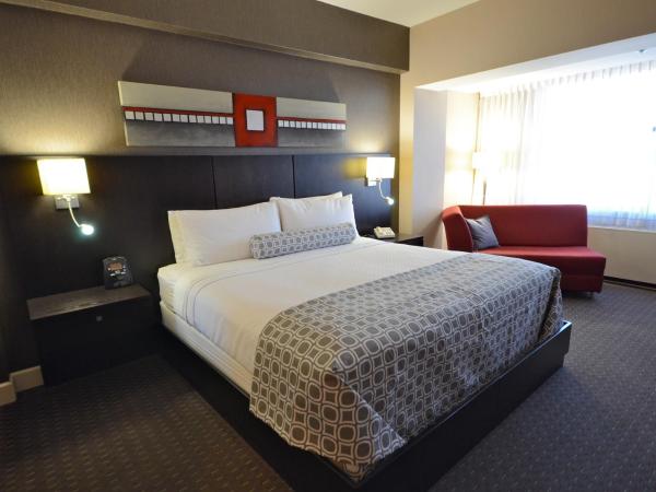 Armon Plaza Montreal Airpt, Trademark Collection by Wyndham : photo 6 de la chambre chambre lit king-size - non-fumeurs