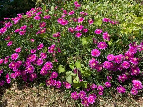 Guest House Krk Town Centre : photo 10 de la chambre chambre double deluxe avec balcon