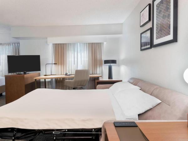 Residence Inn by Marriott Tampa at USF/Medical Center : photo 3 de la chambre studio lit king-size avec canapé-lit