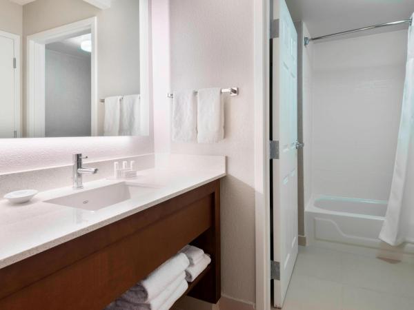 Residence Inn by Marriott Tampa at USF/Medical Center : photo 6 de la chambre studio lit king-size avec canapé-lit