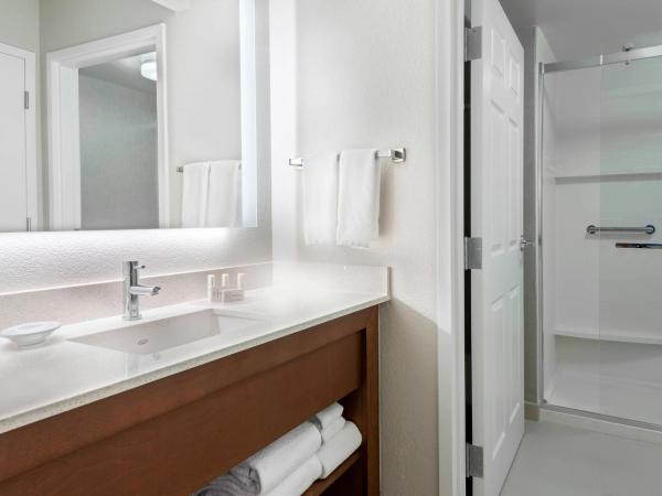 Residence Inn by Marriott Tampa at USF/Medical Center : photo 5 de la chambre studio lit king-size avec canapé-lit