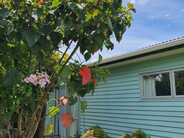 Alice House : photo 1 de la chambre suite deluxe