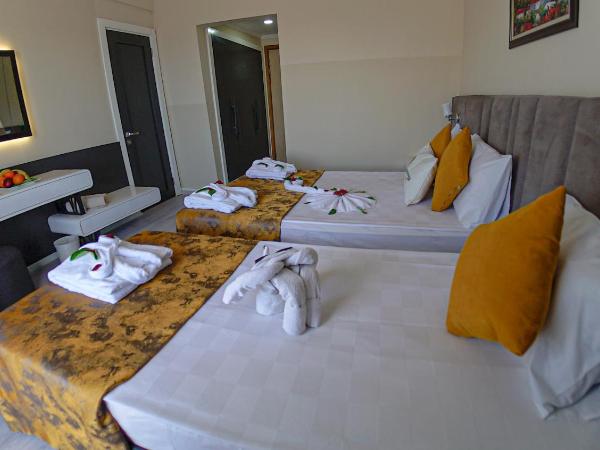 Clover Magic Seagate Belek : photo 5 de la chambre chambre double standard