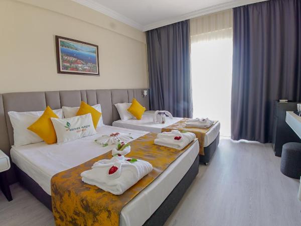 Clover Magic Seagate Belek : photo 1 de la chambre chambre double standard