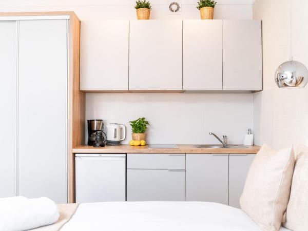 Panorama Park : photo 4 de la chambre deluxe apartment for two people with kitchenette