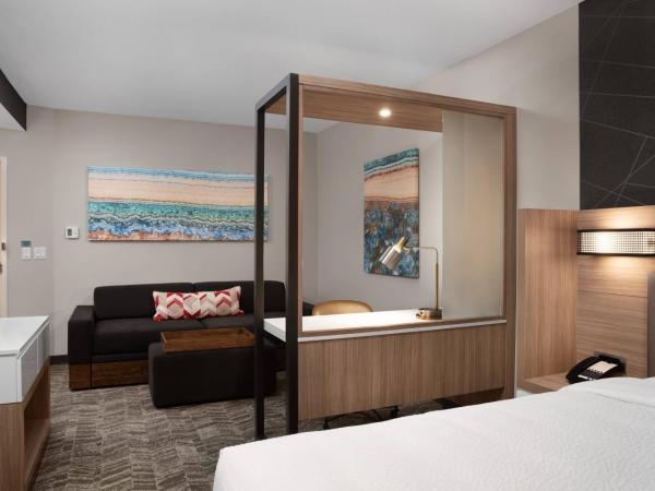 SpringHill Suites by Marriott Orlando Theme Parks Lake Buena Vista : photo 4 de la chambre suite lit king-size avec canapé-lit