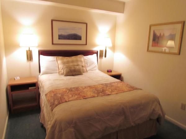 True North Motel : photo 4 de la chambre suite lit queen-size 1 chambre