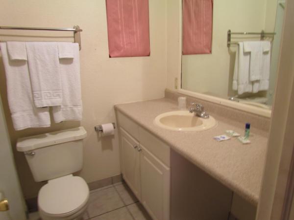 True North Motel : photo 4 de la chambre chambre lit queen-size de luxe