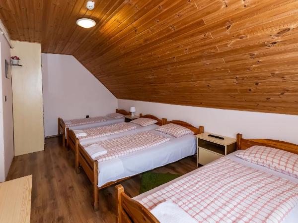 Csillagtúra Panzió : photo 1 de la chambre chambre quadruple avec salle de bains