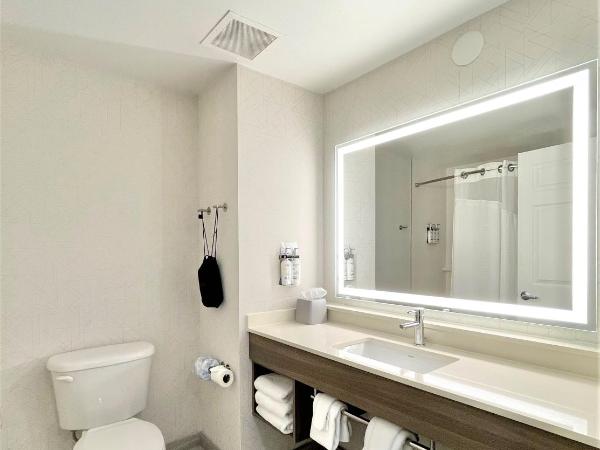 Holiday Inn Express and Suites Tampa I-75 at Bruce B. Downs, an IHG Hotel : photo 3 de la chambre chambre standard