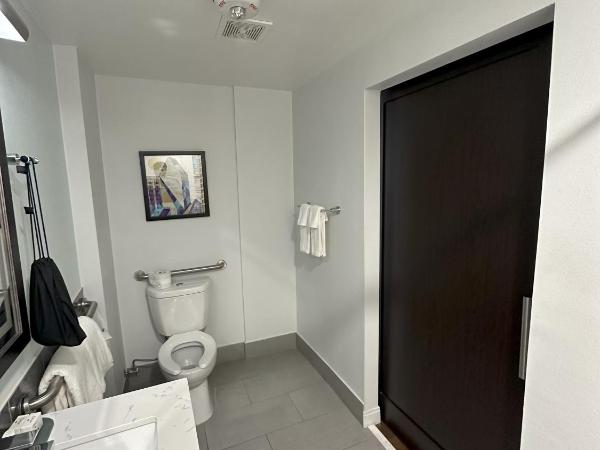 Holiday Inn Express - Dallas Downtown, an IHG Hotel : photo 1 de la chambre double room - mobility access tub/non-smoking